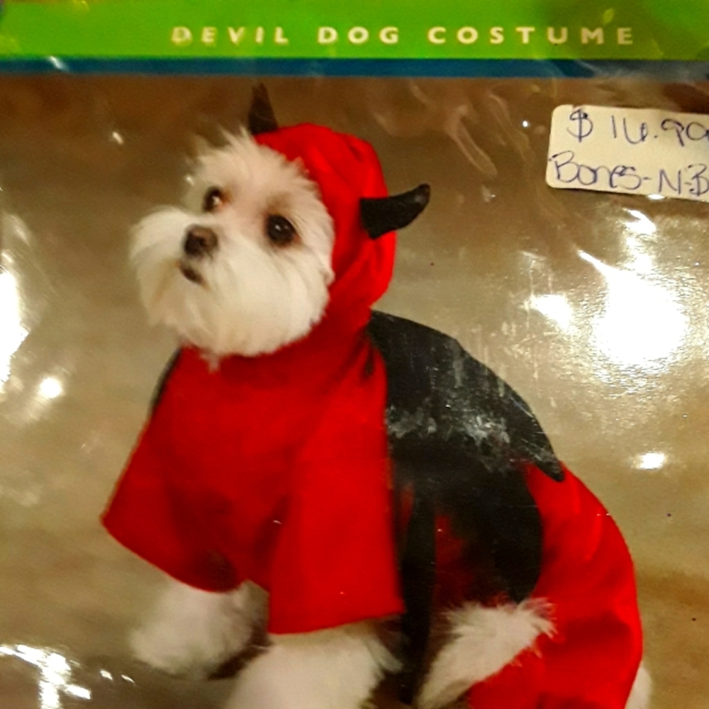 Dog costume